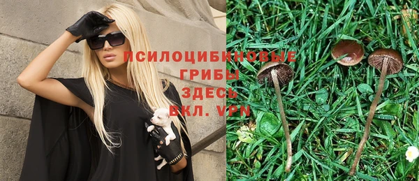 каннабис Абаза