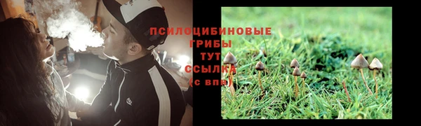 ГАЛЛЮЦИНОГЕННЫЕ ГРИБЫ Абдулино