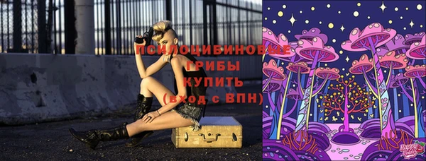 прущий лед Лагань