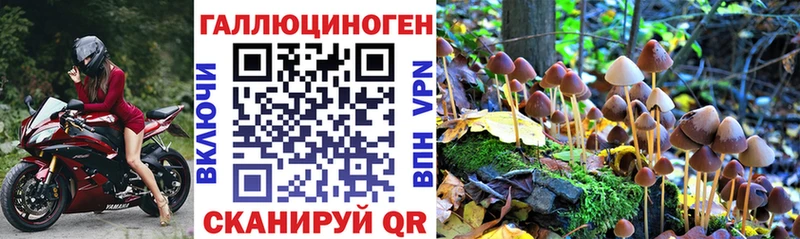 где можно купить наркотик  Назрань  Псилоцибиновые грибы GOLDEN TEACHER 