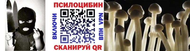 Галлюциногенные грибы Cubensis Назрань
